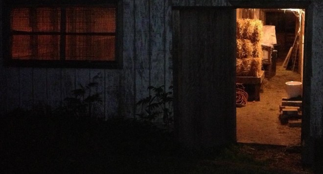 barn at night
