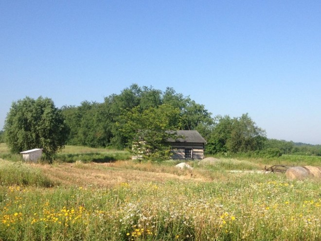 log cabin spring house