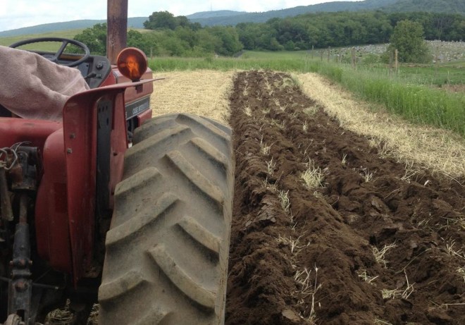 tractor in field